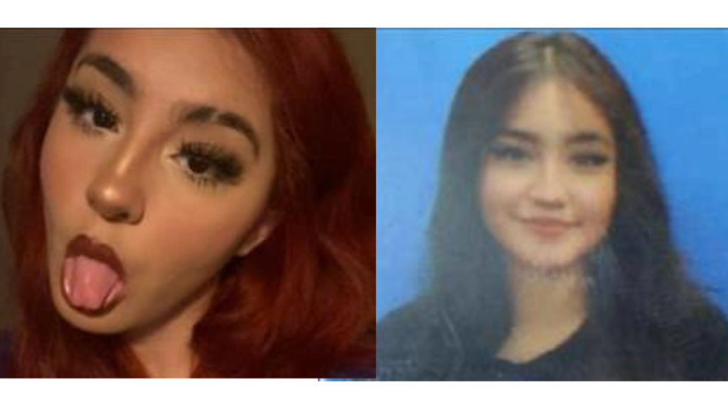 MISSING PERSON: Sheriff Dart Seeks the Public’s Help to Locate Missing Teen from Thornton Township