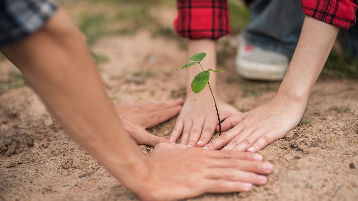 Floosmoor Going Green to Plant Trees with Chicago Region Trees Initiative