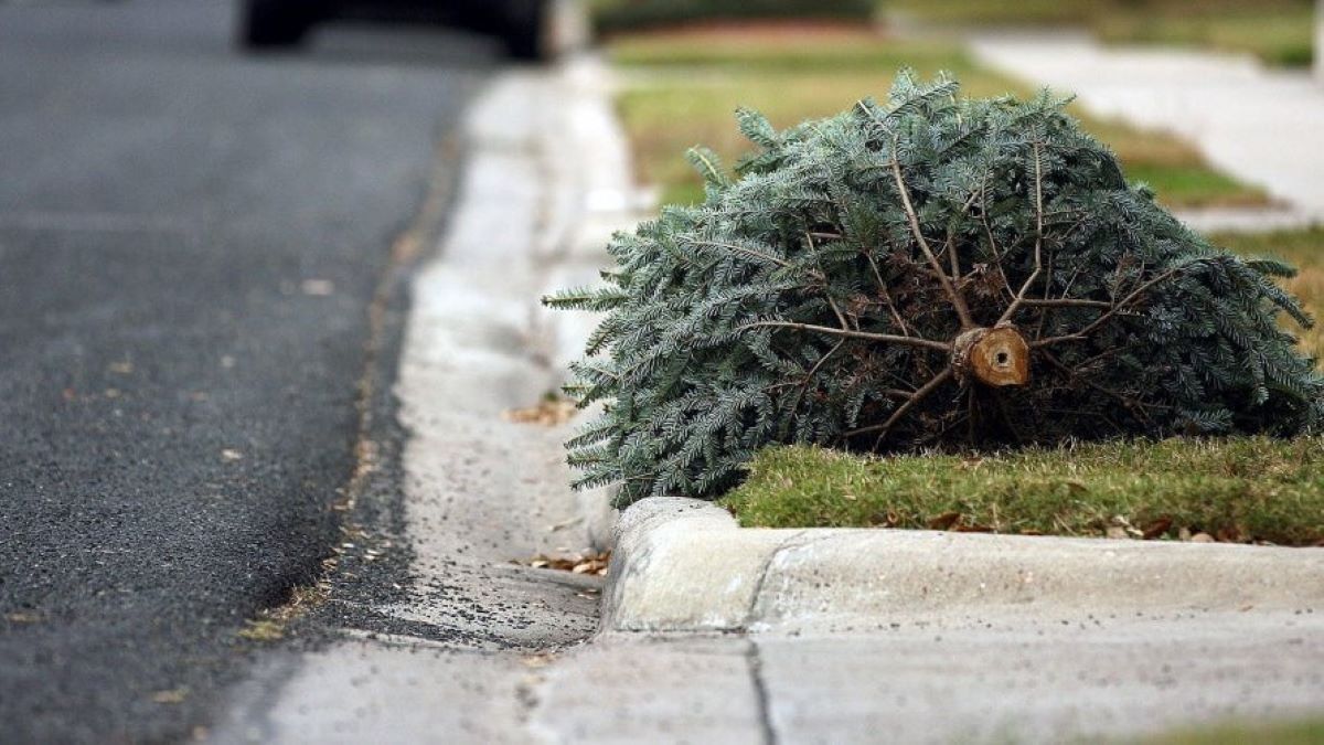 Village of Orland Park Offers Christmas Tree, Wreath and Light Recycling