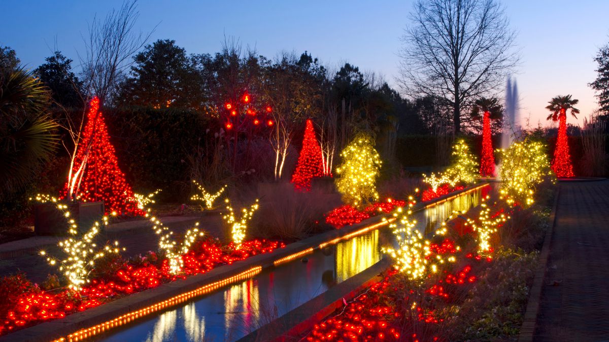 Homewood to Hold Annual Lights Festival