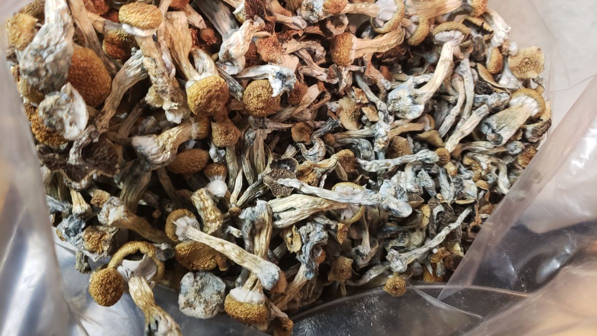 Ventura Introduces Bill to Legalize Psilocybin in Illinois Under Limited Use to Treat Mental Health Conditions