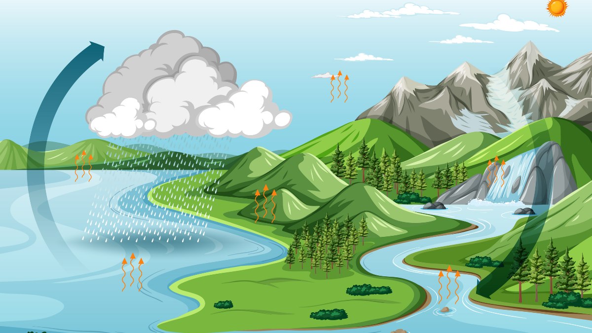 OpEd: What's Reuse? Ask a Third Grader About the Water Cycle