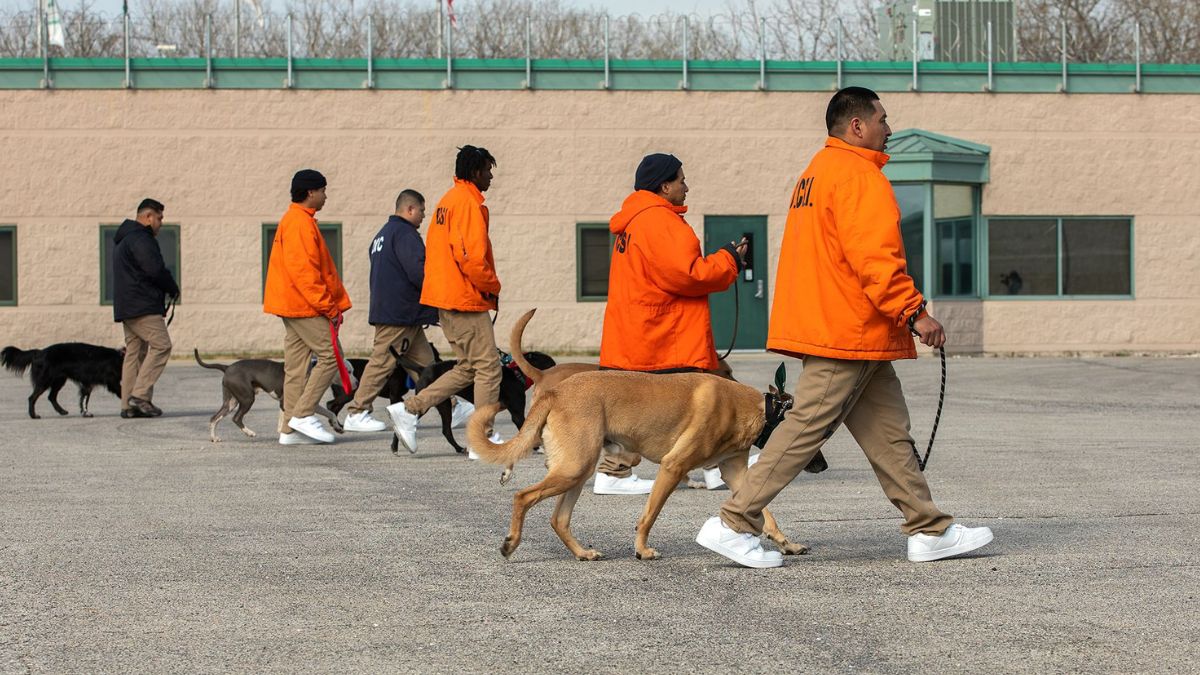 Sheriff Dart Expands 'Tails of Redemption' Dog Adoption Program