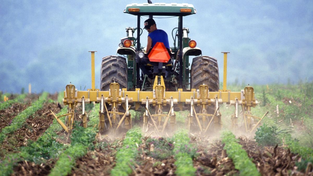 Rep. Davis, local and national farmers to host urban symposium during DNC