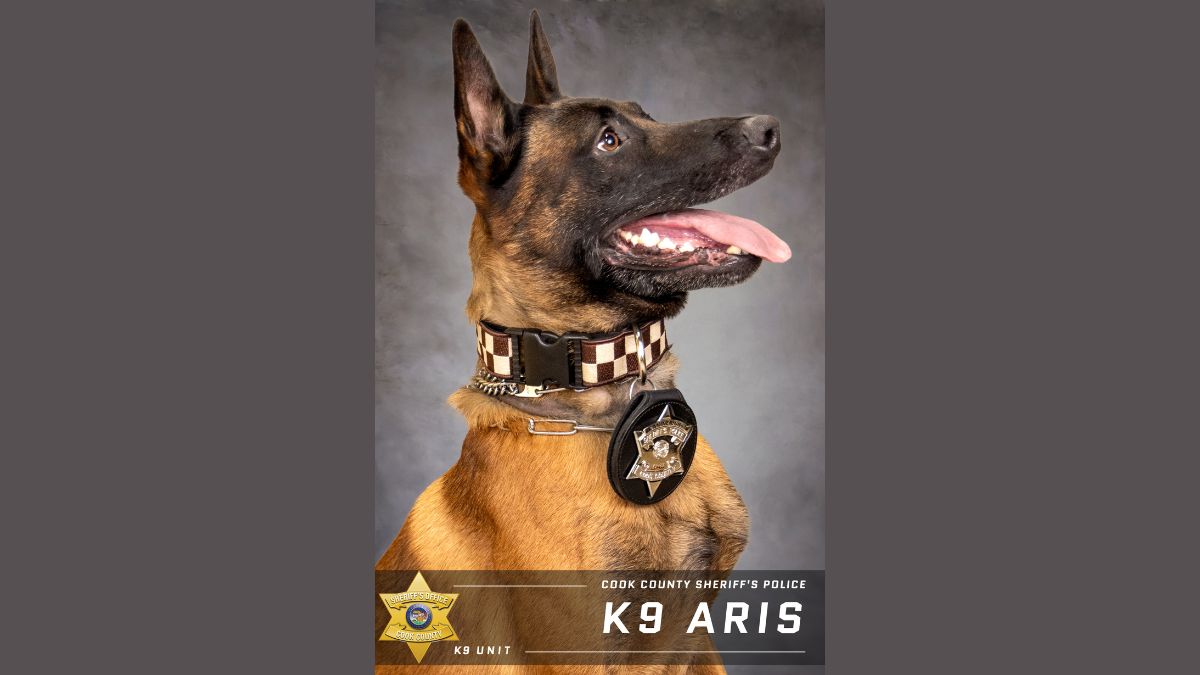 Cook County Sheriff’s Office K9 Aris to Get Donation of Body Armor