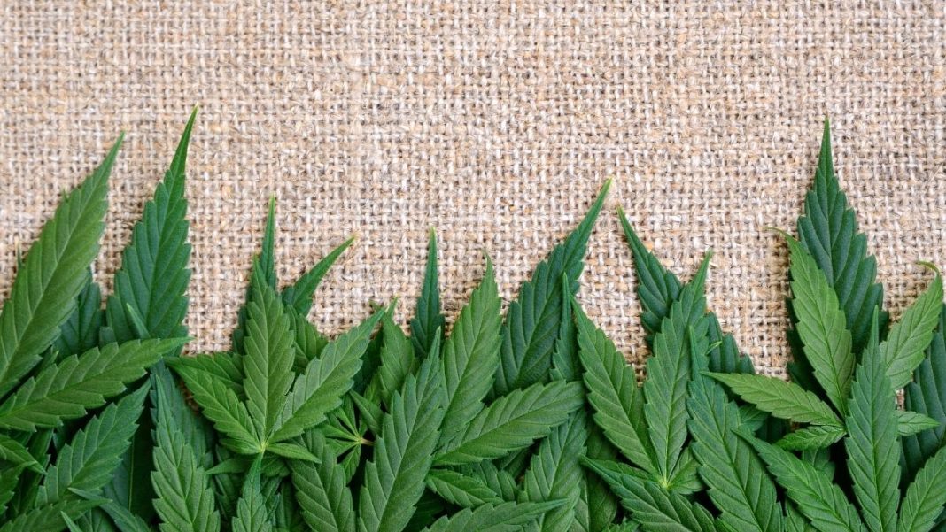 Pritzker endorses hemp regulation bill